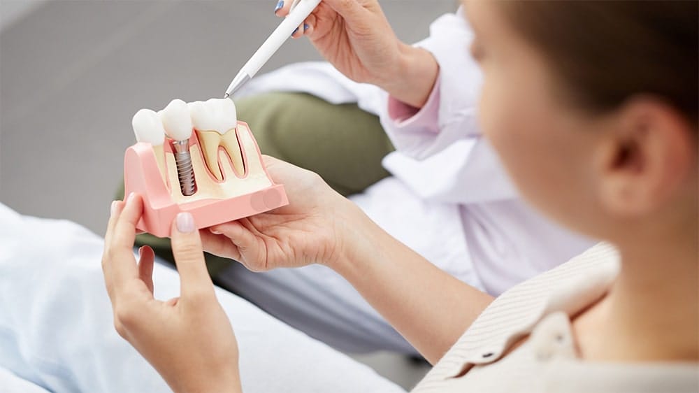 A patient holding a dental implant model while a dentist points with a pen for explanation